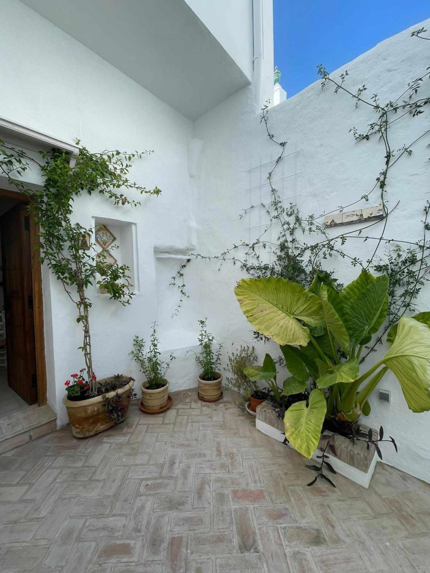 Antiqua Centro De Vejer Con Wifi Grupo Ac Gestion *